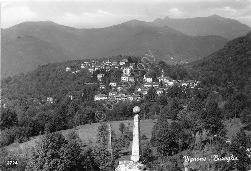 Cartolina - Postcard - Vignone - Bureglio - Panorama