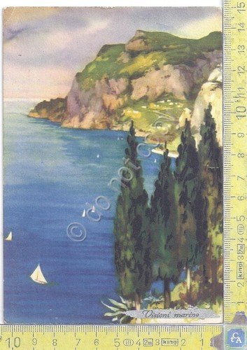 Cartolina - Postcard - Visioni Marine - Costa dall'alto | Immagine principale