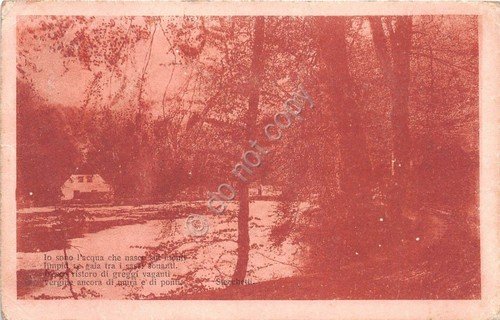 Cartolina - Postcard - Vista fiume e paese - Poesia … | Immagine principale