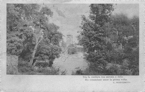 Cartolina - Postcard - Vista fra alberi - Poesia Stecchetti … | Immagine principale
