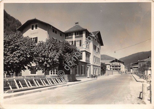 Cartolina - Postcard - Ziano - via del paese - …