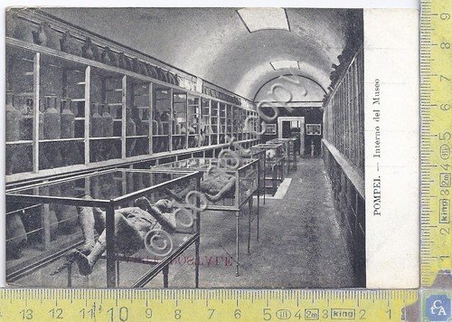 Cartolina - Postcard -Pompei - Interno Museo - anni '40 …