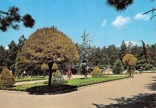 Cartolina - Potenza - Parco Monreale - Timbro centenario Banco … | Immagine principale