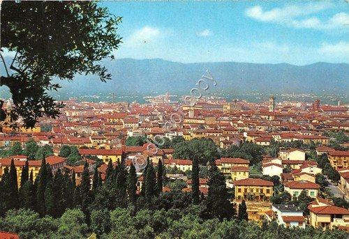 Cartolina - Prato Panorama