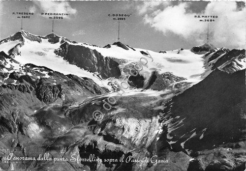 Cartolina - Punta Sforzellina Sopra Passo Gavia | Immagine principale