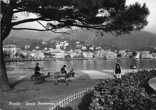 Cartolina - Rapallo - Scorciio panoramico - carrozza - NVG | Immagine principale