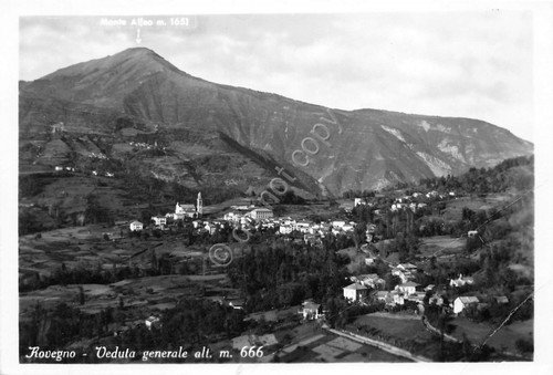 Cartolina - Rovegno - panorama - 1957