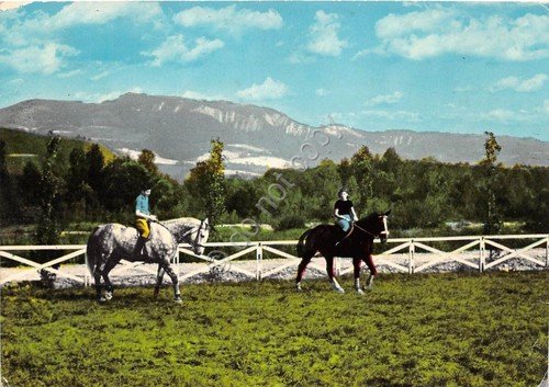 Cartolina - Salice Terme - Campo Ippico - cavalli 1971