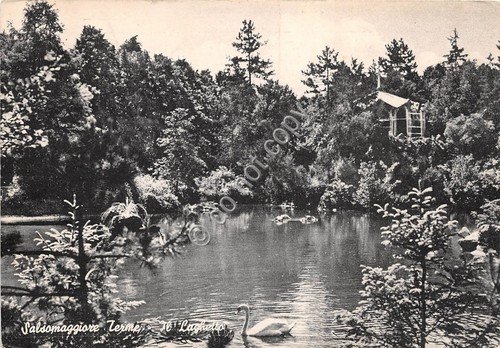 Cartolina - Salsomaggiore Terme Laghetto 1960 (Parma)