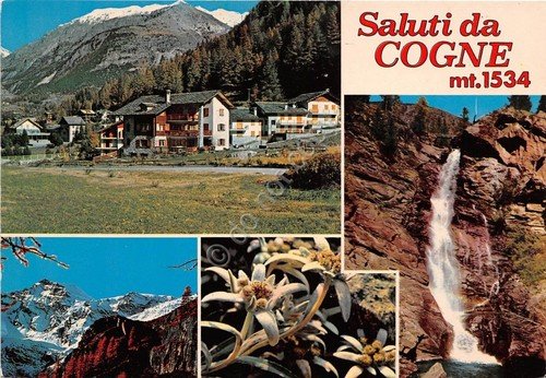 Cartolina - Saluti da - Cogne - Vedutine - 1985 | Immagine principale