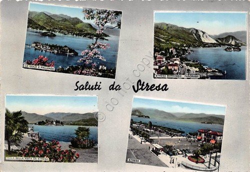Cartolina - Saluti da - Stresa - Vedutine - NVG | Immagine principale