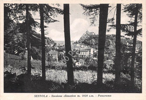 Cartolina - Sestola Panorama 1959