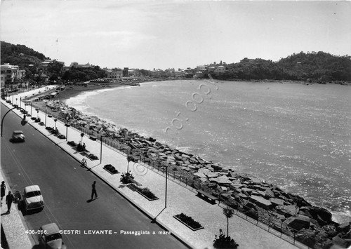Cartolina - Sestri Levante - Passeggiata a mare - 1955