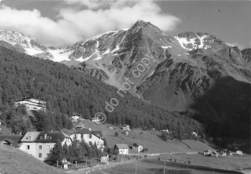 Cartolina - Solda panorama gruppo Ortles