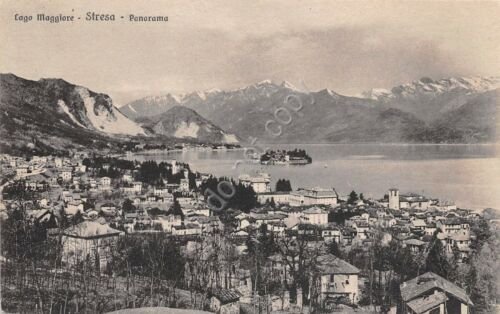 Cartolina - Stresa - Lago Maggiore - Panorama - NVG