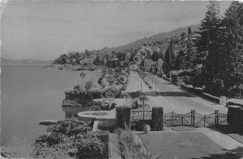 Cartolina - Stresa - Lungo lago - 1951