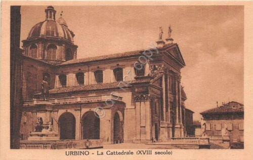 Cartolina - Urbino - Cattedrale - NVG