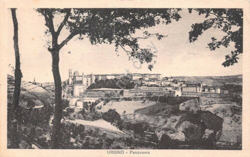 Cartolina - Urbino - Panorama - NVG