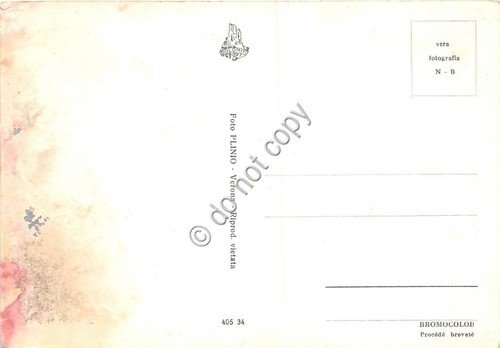 Cartolina - Valeggio sul Mincio Vedutine (Verona) | Immagine Gallery 2