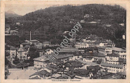 Cartolina - Vallemosso Panorama 1933