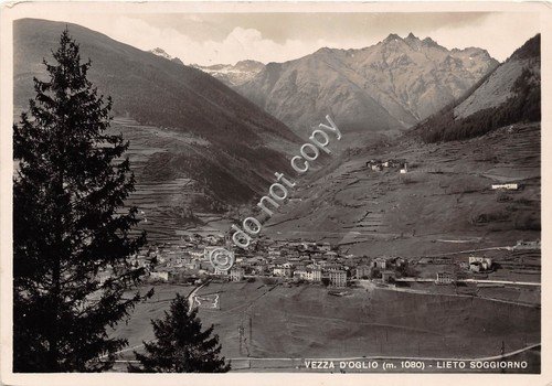 Cartolina - Vezza D' Oglio panorama 1949