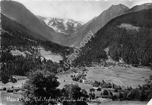 Cartolina - Vezza d'Oglio panorama Adamello 1953