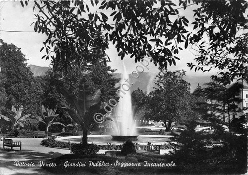 Cartolina - Vittorio Veneto Giardini pubblici anni '50 (Padova)