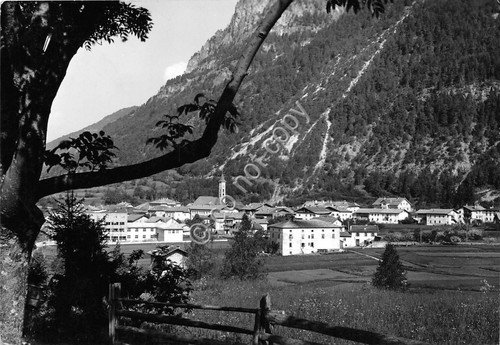 Cartolina - Ziano Panorama anni '60