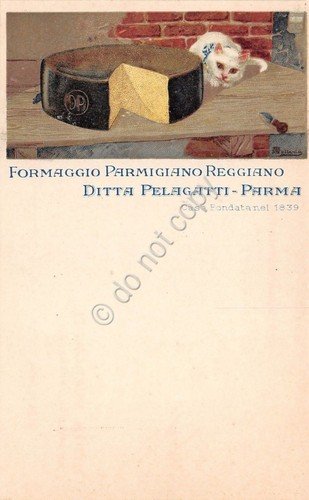 Cartolina -Illustrata - Ballerio - Parma - Ditta Pelagatti - …