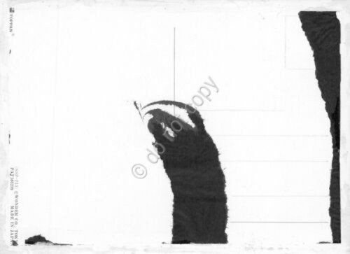 Cartolina 3D Lenticular plastificata Buon Natale augurale made in Japan