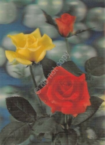 Cartolina 3D Lenticular plastificata fiori rose