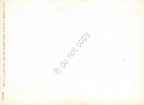 Cartolina 3D Lenticular plastificata Toppan Re Magi | Immagine Gallery 2