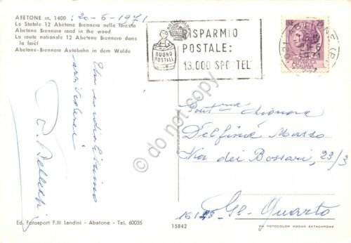 Cartolina Abetone La Statale 12 Abetone Brennero nella foresta 1971 …