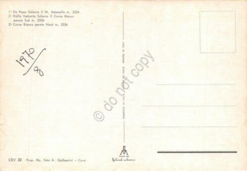 Cartolina Adamello Gruppo vedute sci sciatori scalatori (Trento) | Immagine Gallery 2