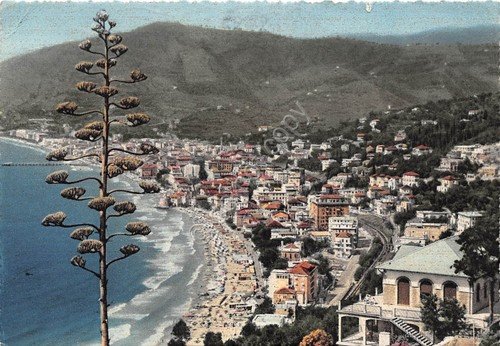 Cartolina Alassio Panorama 1954 (Savona) | Immagine principale