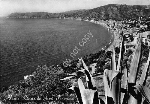 Cartolina Alassio panorama della spiaggia dall'alto 1960 VG (Savona)