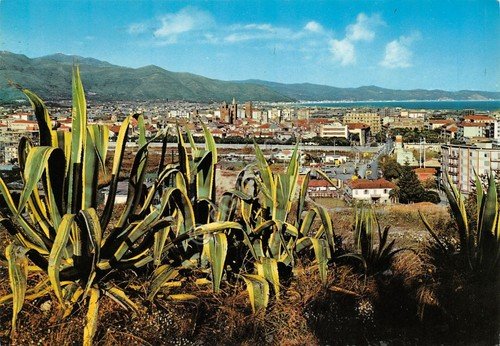 Cartolina Albenga panorama da ponente 1971 (Savona)