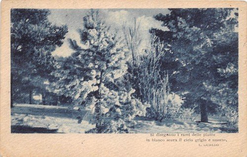 Cartolina Alberi con neve - poesia L.Gualdo - anni '20