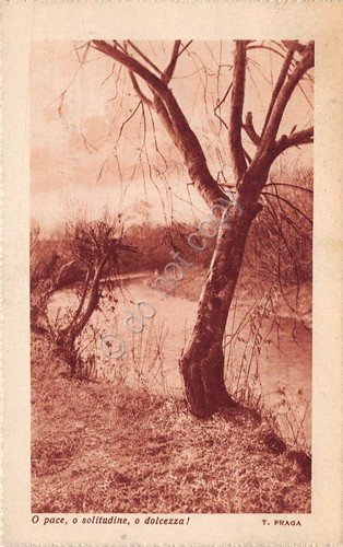 Cartolina alberi e ruscello poesia T. Praga 1937 (Altre cartoline) | Immagine principale