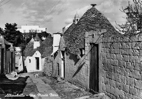 Cartolina Alberobello Via Monte Nero cane | Immagine principale