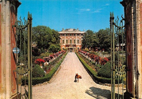 Cartolina Albisola Villa Faraggiana entrata con cane 1974 | Immagine principale