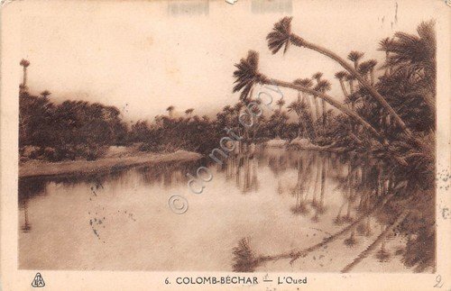 Cartolina Algeria Colomb Bechar Oued