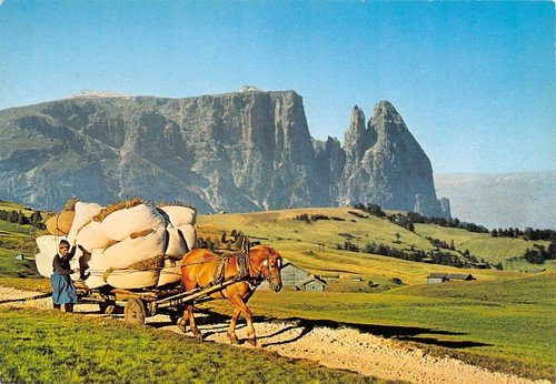 Cartolina Alpe di Siusi Carro cavallo fieno contadino | Immagine principale