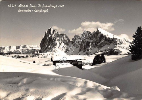 Cartolina Alpe di Siusi Sassolungo 1956 (Bolzano) | Immagine principale