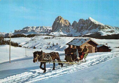 Cartolina Alpe di Siusi slitta con cavallo animata (Bolzano)