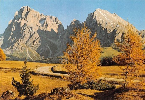 Cartolina Alpe di Siusi verso Dolomiti anni '80
