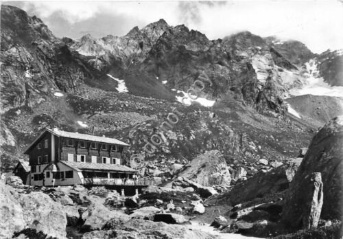 Cartolina Alpe Pedriola Rifugio Zamboni Zappa Punta Battisiti (Novara)