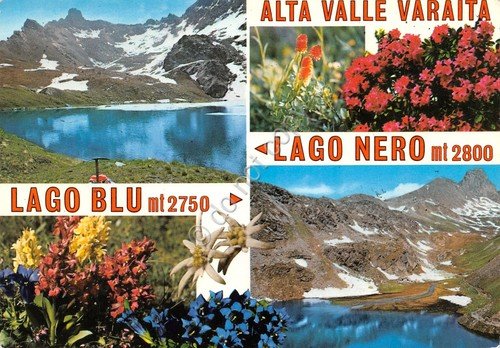 Cartolina Alta Valle Varaita vedute varie 1973 Lago Nero Lago …