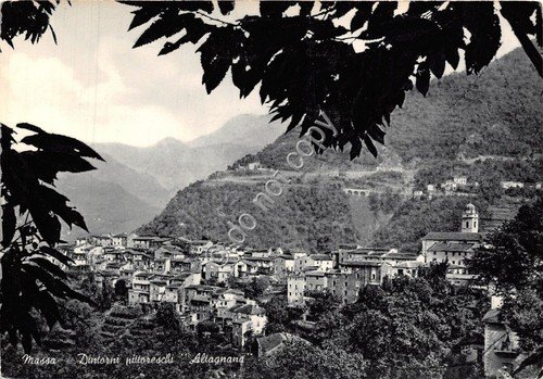 Cartolina Altagnana Massa Panorama anni '50