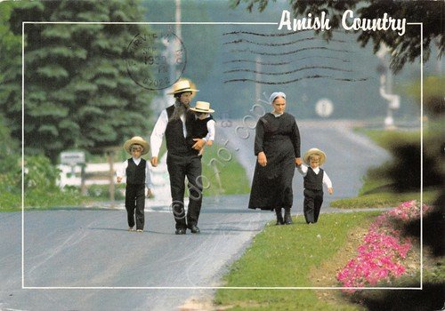 Cartolina Amish Country 1990 Amish family | Immagine principale